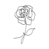 Flower continuous one line art drawing vector Beauty rose
