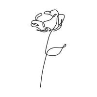 One line drawing of rose flower simplicity style vector