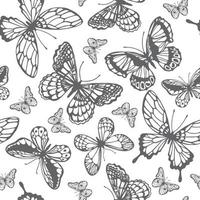 Vector butterflies pattern. Abstract seamless background.