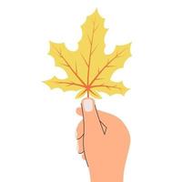 Human hand holding yellow maple leaf isolated vector