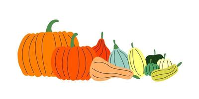 vector conjunto plano de varias calabazas aisladas