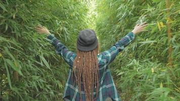 Jeune femme rousse avec des dreadlocks marche dans la forêt de bambous verts video