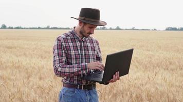 Young male farmer in the wheat field work with laptop video