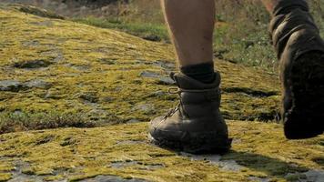 Cerca de hombre caminar con botas sobre el musgo verde video