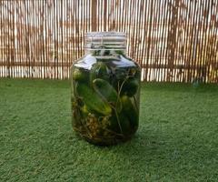 pickled cucumbers in a closed jar standing on the green photo