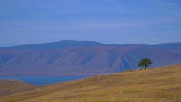 Lake Baikal Olkhon Island in a sunny day, Irkutsk Russia. photo