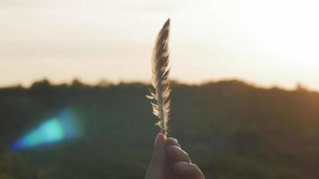 Woman with a bird's feather in hand against the beautiful setting sun video