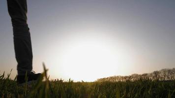 Silhouette of someone jumping in a field video