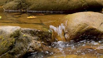 primo piano del fiume di montagna video