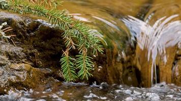 primo piano del fiume di montagna video