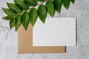 A blank card with envelope and leaf is placed on white background photo