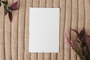 A blank card and a leaf on a sweater photo