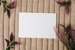 A blank card and a leaf on a sweater photo