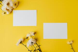 Two blank card with flowers is placed on yellow background photo