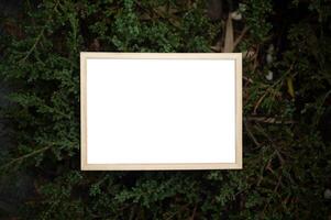 A white picture frame on a tree photo