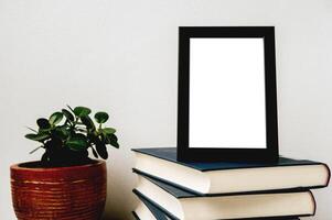 A picture frame placed on a book with a small plant pot photo