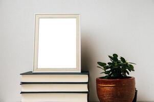 A picture frame placed on a book with a small plant pot photo