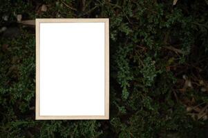 A white picture frame on a tree photo