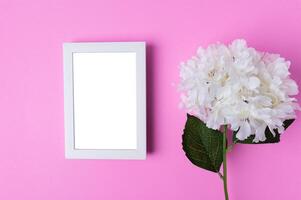 Photo frames and flowers placed on a pink background.