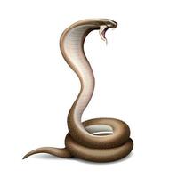 composición realista de serpiente silbante vector