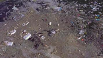 déchets d'origine humaine dans le ruisseau video