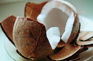fresh cut coconut close up photo