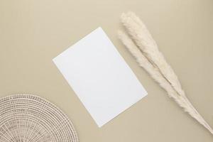 Blank white paper on beige background with reed grass flower,
