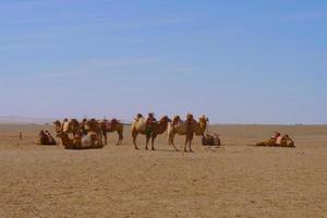 Landscape view of ancient Yangguan pass in Gansu China photo