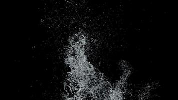 rallentatore di spruzzi d'acqua con goccioline su sfondo nero. video