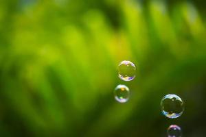 burbujas de agua flotando y cayendo sobre hojas verdes