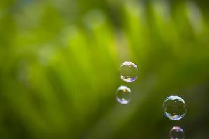 burbujas de agua flotando y cayendo sobre hojas verdes foto