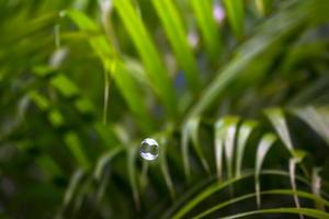 Water bubbles floating and falling on green leaves photo