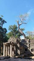 templo de ta prohm en el complejo de angkor wat, siem reap, camboya. foto