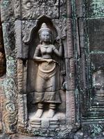 talla de piedra en el templo de ta som, siem reap, camboya. foto