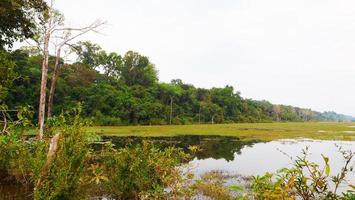 lake pond at Neak Poan in Angkor Wat complex, Siem Reap Cambodia. photo