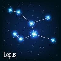 The constellation Lepus star in the night sky. vector