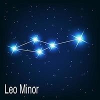 The constellation Leo Minor star in the night sky. vector