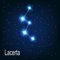 The constellation Lacerta star in the night sky. vector