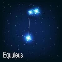 la constelación de estrella equuleus en el cielo nocturno. vector