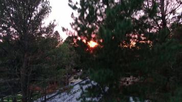 Aerial view of sunset. Drone ascends along pine tree. Siberia