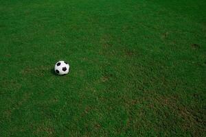 Balón de fútbol sobre césped con fondo de estadio foto