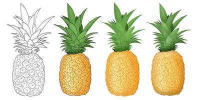 pineapple vector illustration isolated in a white background