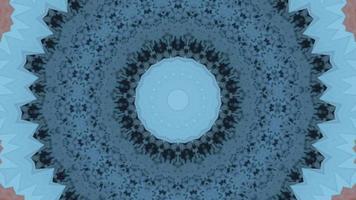 Mandala symmetric botanical abstract background. video