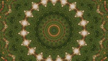 Floral abstract background. Kaleidoscope pattern, whimsical explosion. video