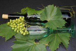 White wine grapes and leaves photo