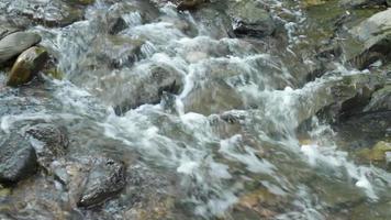 Stream flow over rocks in a nature park. video