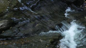 Stream flow over rocks in a nature park. video