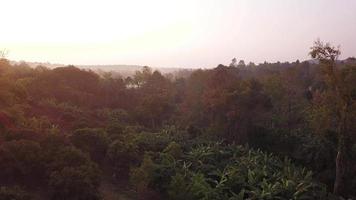 luchtvlieg door video van een drone in een regenwoud in thailand.