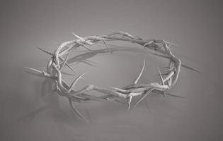 Crown of Thorns 3D Rendering Plain White photo