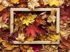composición de hojas de otoño con marco de fotos